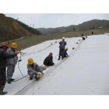 Smooth Geomembrane with Straps for Tunnel